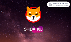 news image for Shiba Inu Partners with IWB to Support Women in Blockchain